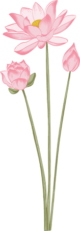 Colored Detailed Vintage Lotus Flowers